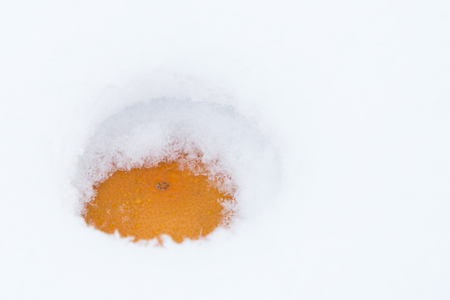 Mandarins in the snow. Orange lie deep in a pile of snow and snow falls on itの写真素材