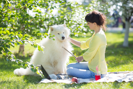 A girl is feeding her dog in a park on a picnic.の写真素材