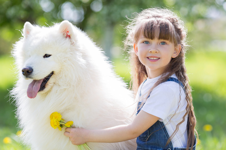 Little girl with a big white dog in the park.の写真素材