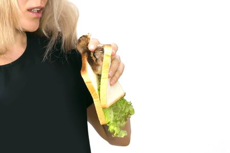 Live chicken in a sandwich, advertising vegetarianism. Hen is still holding a chicken for dinner....