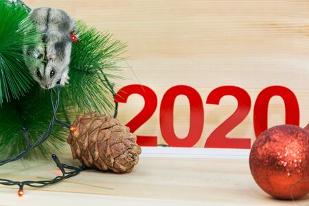 Gray mouse near new year's decorations. Ball garlands and pine cones