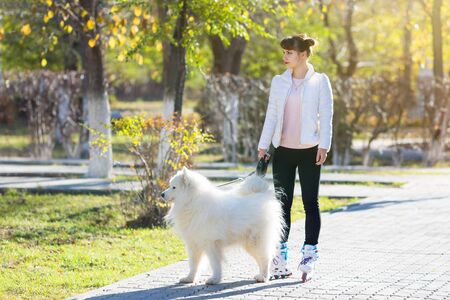 Girl on roller skates walking with a dog. A young woman roller skating in the park with her big white dog.の写真素材