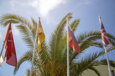 Four flags of Turkey, Russia, UK, Germany against the background of palm trees and sunny sky.の写真素材