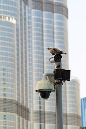 The urban video surveillance system on which the pigeon sits.の写真素材