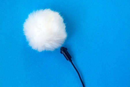 Lavalier small microphone and wind protection blue background.の写真素材