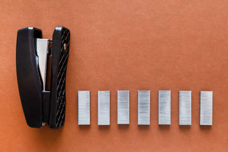 A set of office supplies. Stapler and staples.