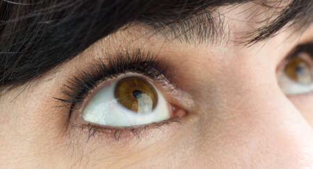 Female eye with lush eyelashes and makeup eyelids close-up.の写真素材