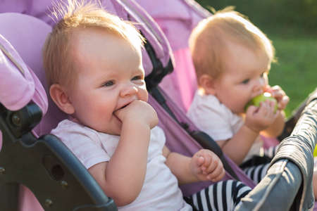 Happy twins in baby carriage in nature on a sunny day.の写真素材