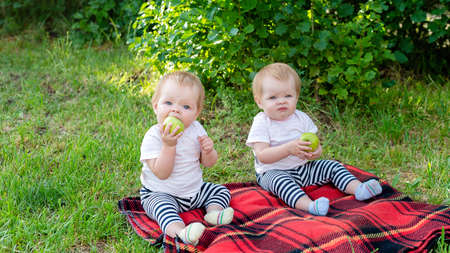 Twin children eat apples in the fresh air sitting on a blanket.