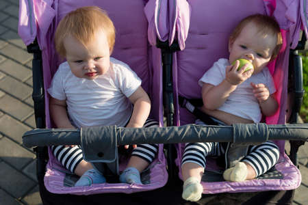 Cute 6 month old children are sitting next to each other in a baby stroller.の写真素材