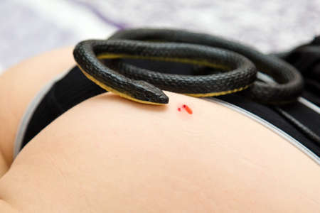 A venomous snake lies on the body of a bitten woman in her underwear.