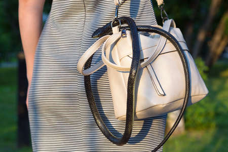 A wild venomous snake crawled unnoticed into a woman's purse.の写真素材