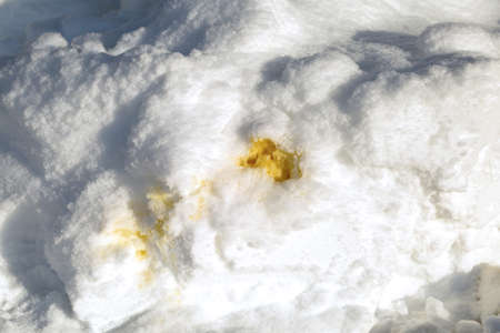 A yellow spot of urine on the white snow on the streets of the city.の写真素材