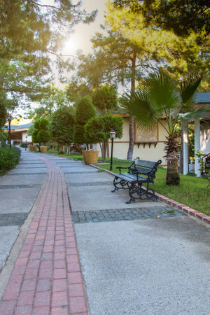 landscaped alley among greenery and private houses.の写真素材