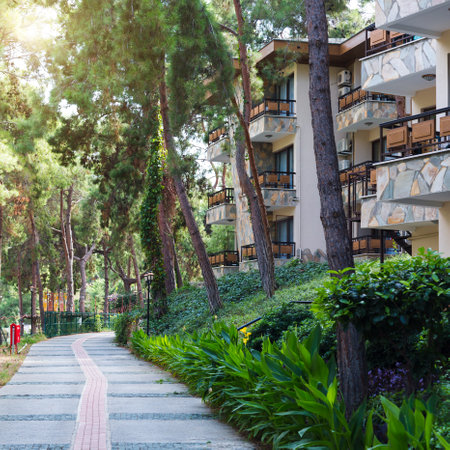 Quiet calm street along the houses in the shade of trees.の写真素材
