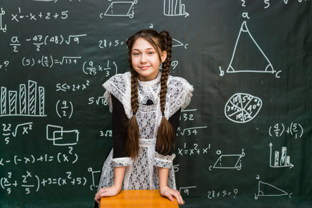 Girl high school graduate in beautiful festive dress.