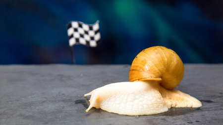 Slow snail next a car racing sports flag.の写真素材