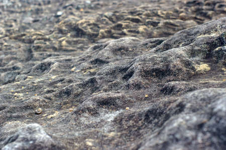 stone wallpaper