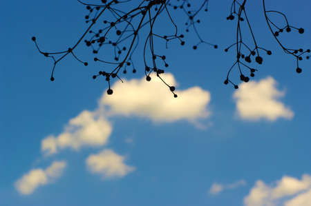 Sky Biueの写真素材