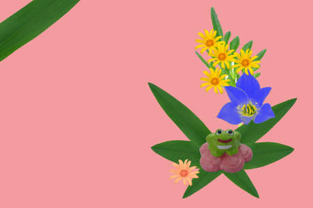 Frog stone and flowerの写真素材