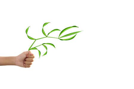 Hand and Grassの写真素材