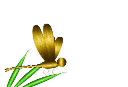 Dragonfly and grassの写真素材