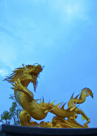 Dragonの写真素材