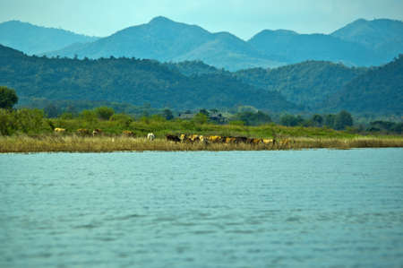 Dams store water for agriculture and power generationの写真素材