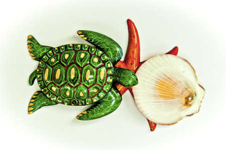 Texture turtle starfish and shell arranged by conceptsの写真素材
