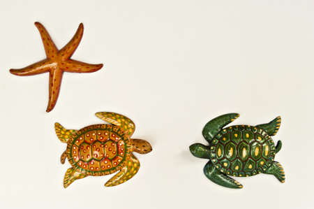 Texture turtle starfish and arranged by concepts