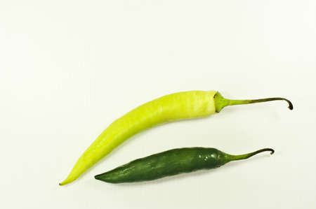 Photo provided pepper white backgroundの写真素材