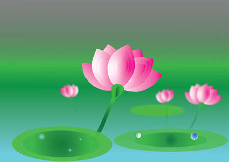 Lotus on the riverのイラスト素材