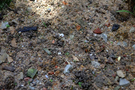 Sand and stone textureの写真素材