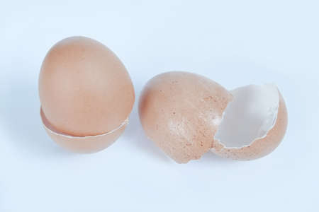 Egg Shells on White Background