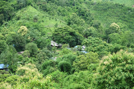 village in the middle of forest in Thailandの写真素材