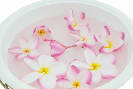 Foot bath in bowl and tropical flowers, spa pedicure treatment, top viewの写真素材