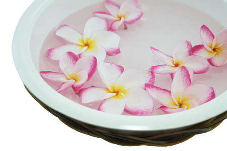Foot bath in bowl and tropical flowers, spa pedicure treatment, top viewの写真素材