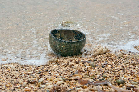 old coconut empty shell on the beach