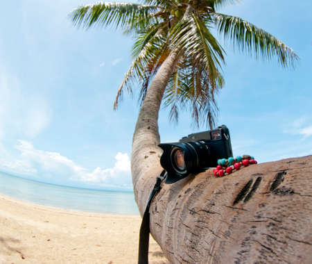 Camera on coconut Palm trees on white sandy beach in Thailandの写真素材