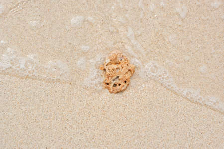 small stone on the beach and small waveの写真素材