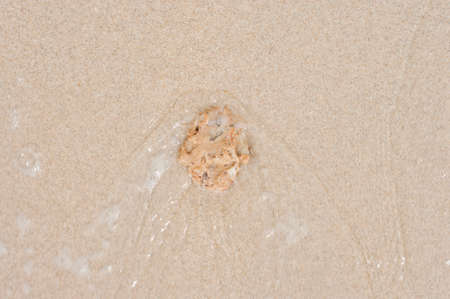small stone on the beach and small wave