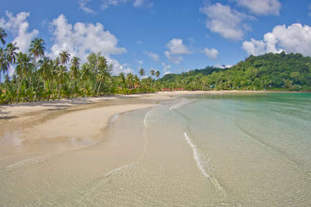 Beautiful sea and sand beach on island with coconut palm treeの写真素材