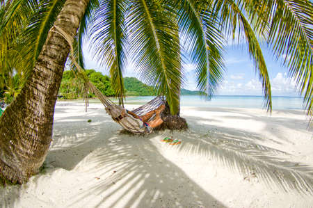 Beautiful sea and sand beach on island with coconut palm treeの写真素材