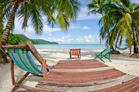 Beautiful sea and sand beach on island with coconut palm treeの写真素材