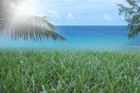 dew on grass and the seaの写真素材