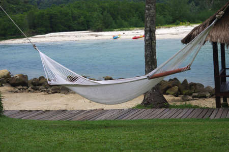 The cradle under tree beside the beachの写真素材