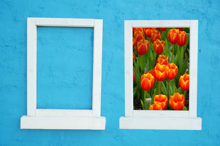 empty window and open window meet flowerの写真素材