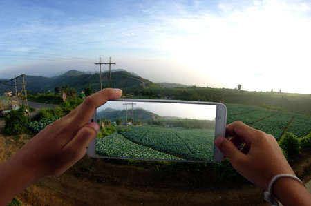photograph cabbage on mountain by phoneの写真素材