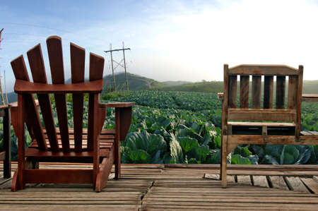 Wooden chair and cabbage on mountainの写真素材