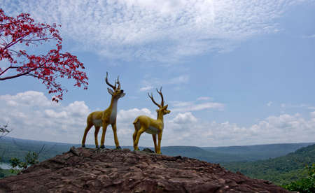 Autumn day and deer on mountainsの写真素材